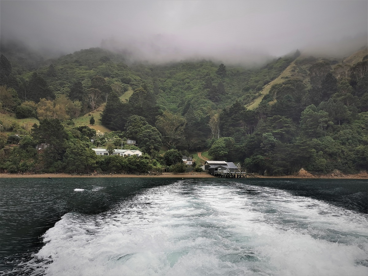 Ligar Bay, Marlborough Sounds