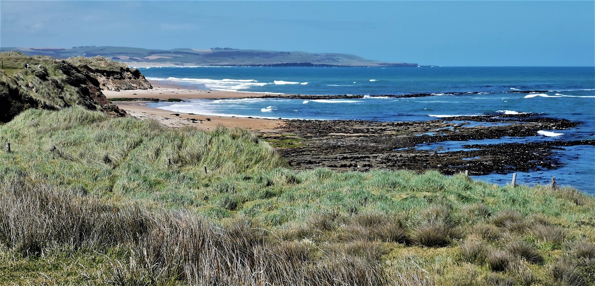 The Catlins Coastline