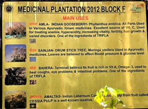 An inforamtion board by the Ayuervedic plant garden