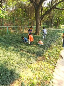 Children foraging for nuts in the grass under a tree in the Hauz Khas Village complex