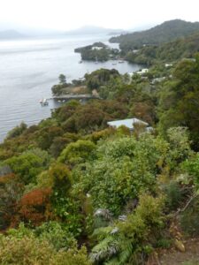 A view from above Golden Bay, Paterson Inlet
