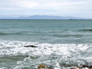 Foveaux Strait and Stewart Island Rakiura