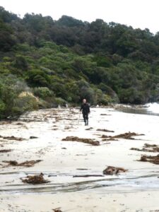 Manfred walking on the beach at Lee's Bay