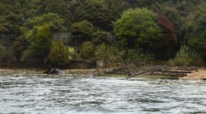 Remnants from the Norwegian Whaling station in Paterson Inlet