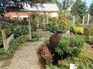The beautiful gardens at Mia Flora Cafe and Garden Centre