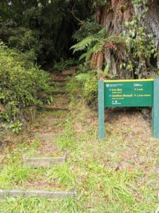 The stairs down from the Garden Mound track near Lee Bay