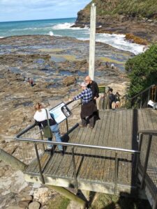 The viewing platform above the Petrified Forest, Curio Bay