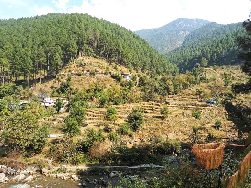 A farm in the forest clearning across the Tons River