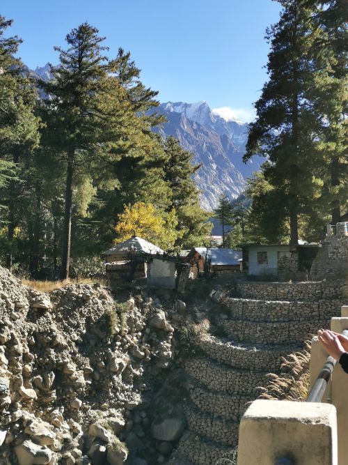 A terraced bank near Surya Kund with the forest and mountains in the Gangotri complex area