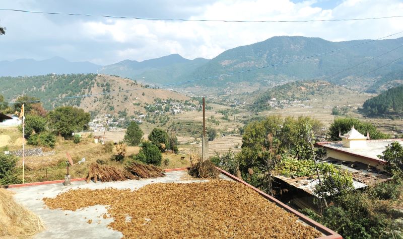 Drying crops and herbs on the roof of the the house above the valley looking towards Gundiyar Gaon in the are of Purola