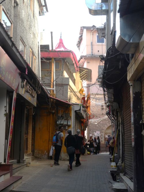 Exploring the Lakkar Bazaar Shimla