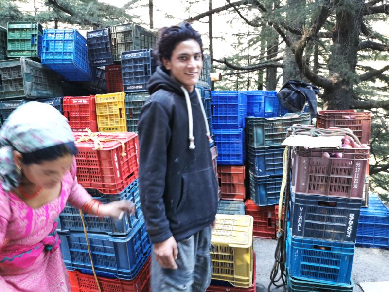 Local rural workers beside a stack of apple baskets awaiting filling and collection near Harsil Gangotri