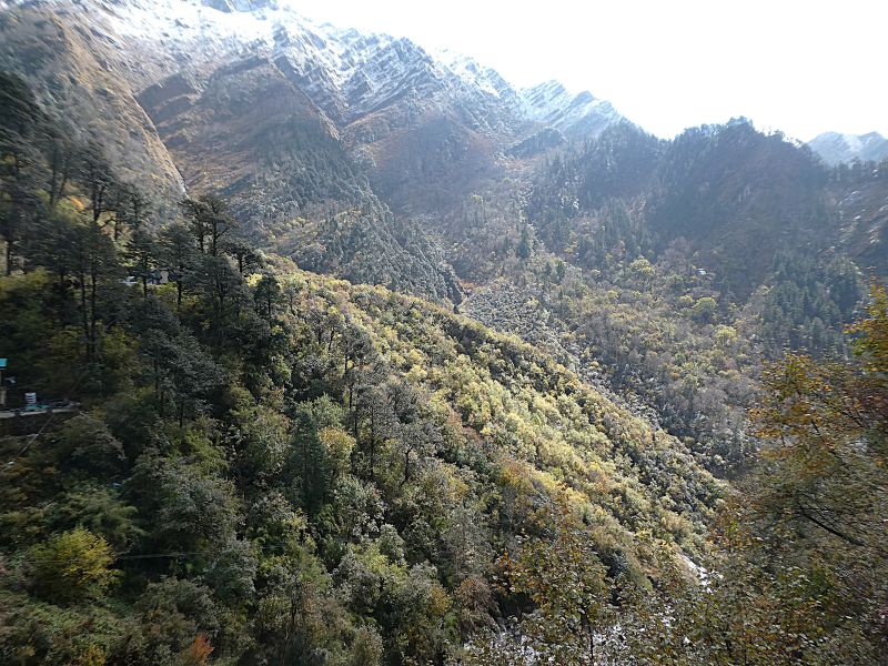 The mountains and autumn forest alongside Yamunotri