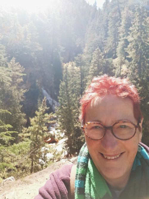 The sun shines in the forest near Gangotri