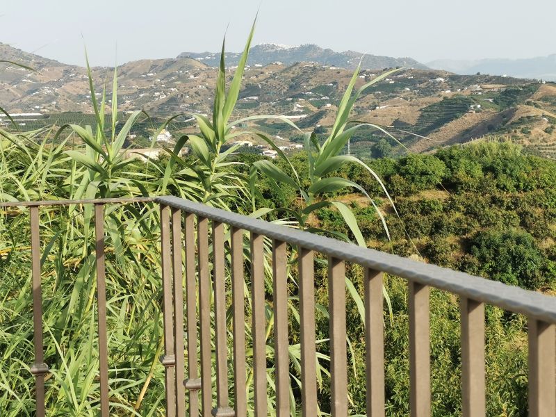 Comares in the far distance as seen from Casa Bambu
