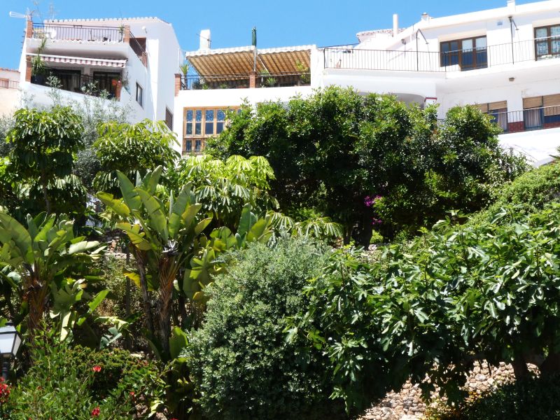 The Moorish quarter above a tropical garden in Frigiliana