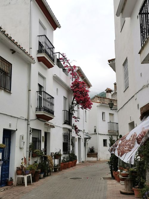 A street in Ojén