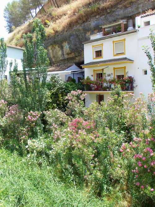 The colourful wildflowers against the background of window boxes of the cave houses in Setenil de las Bodegas