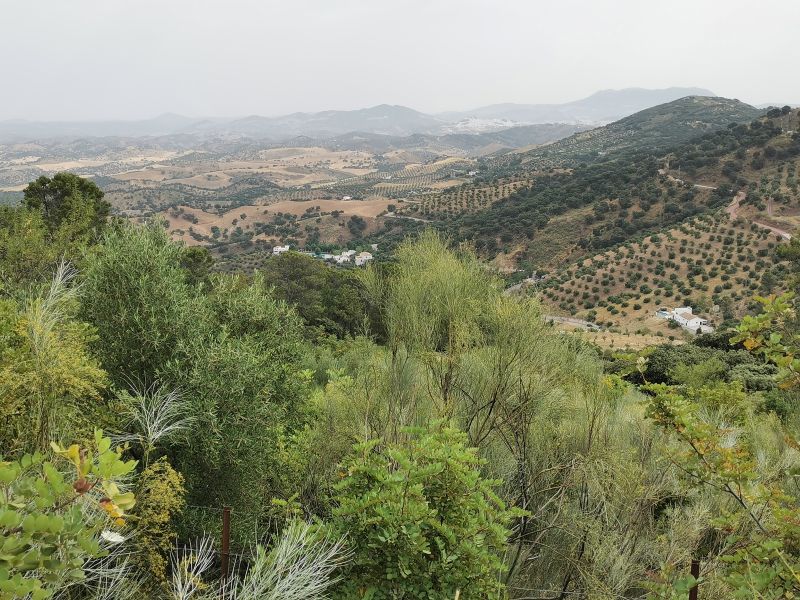 A view from the road to the Dolmen del Gigante towards the rural area around Olvera