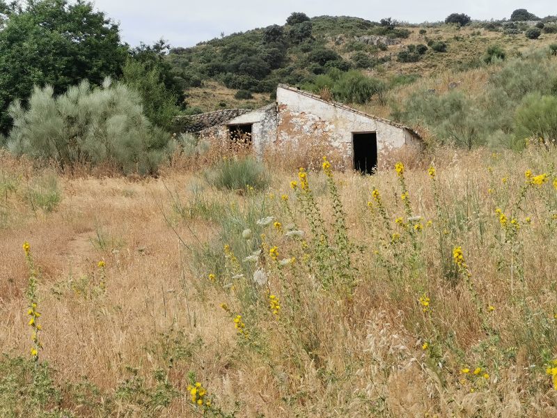 An abandoned Cortijo beside the track to the Dolmen del Gigante