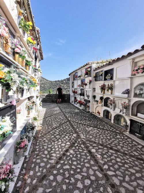 Flowers on the crypts in the cemetery at 'Iglesia del Salvador' (El Salvador Church), Villaluenga del Rosario
