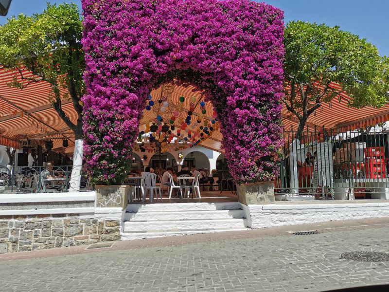 The decorated plaza for the festival in El Bosque