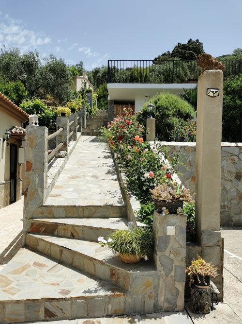 The steps and walk way to the pool are with roses, the cottage up the back and grapevines