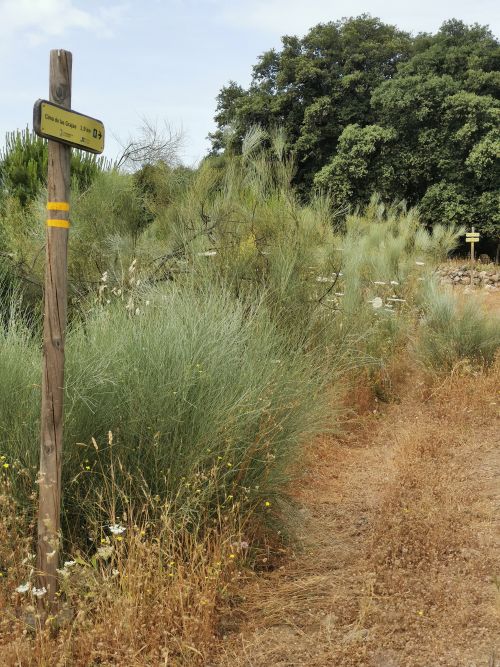 The track beyond the gate towards the picnic table near the Dolmen del Gigante