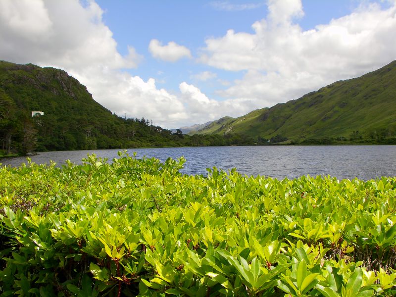 A beautiful view to the east over Pollacapall Lough