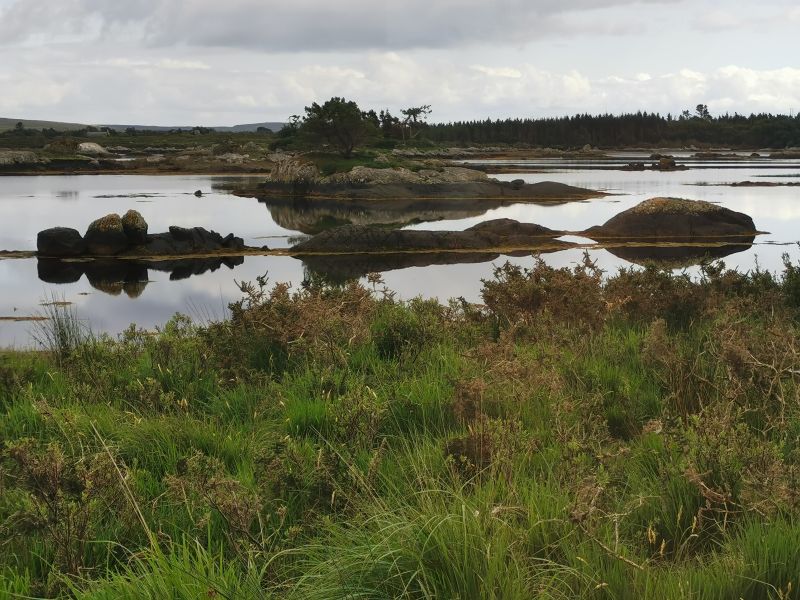 Beauty in the waterways on the road to Roundstone