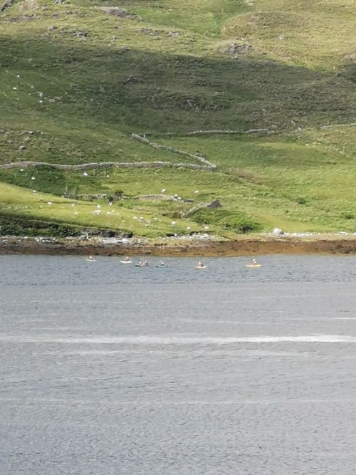 Kayakers on Killary Fjord
