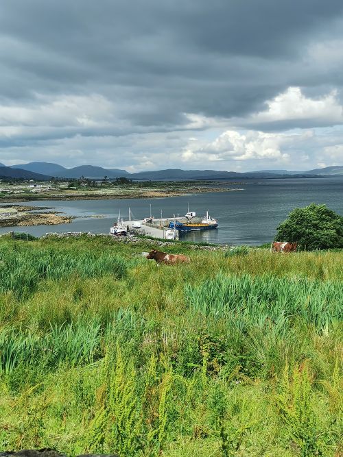 Oyster Bay Kilkieran