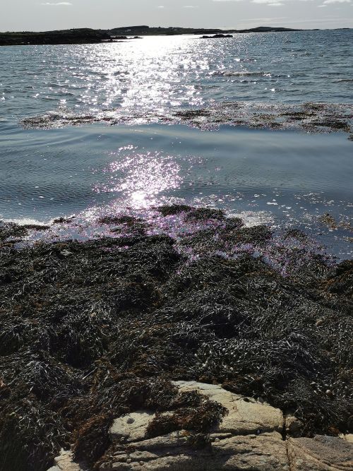 Sunset glimmers from the west over Mannin Bay Blueway