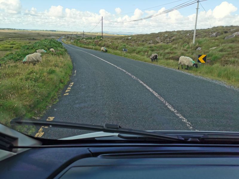 The narrow road through the boglands on Achill Island where the sheep roam free