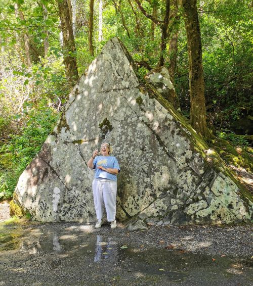 Dionee throwing a pebble over the stone